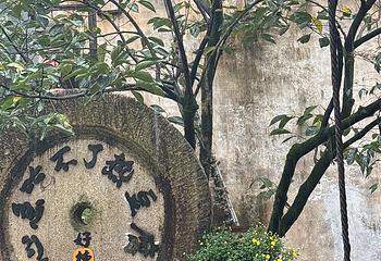 婺源篁岭景区第 376 张图片