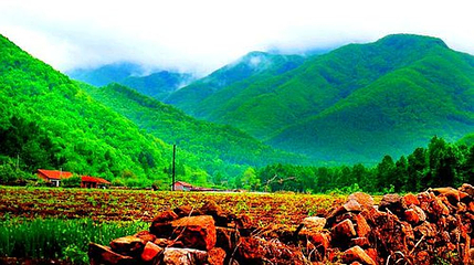 白石砬子自然保护区第 1 张图片