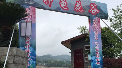 神龟花谷第 1 张图片