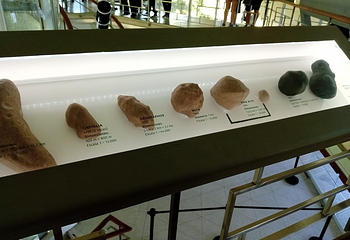 Planetario Galileo Galilei第 15 张图片