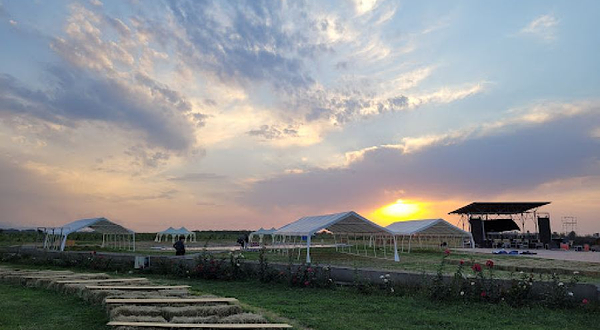 Виноградник Arba Wine