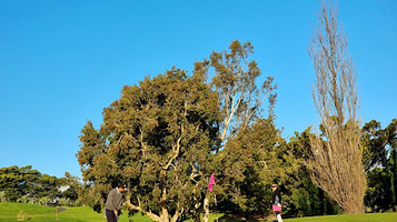 Moore Park Golf Driving Range