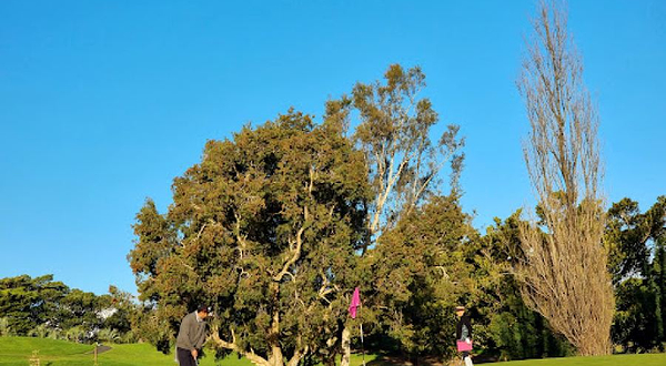 Moore Park Golf Driving Range