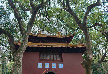 普陀山风景区第 114 张图片