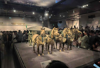 秦始皇帝陵博物院(兵马俑)第 501 张图片