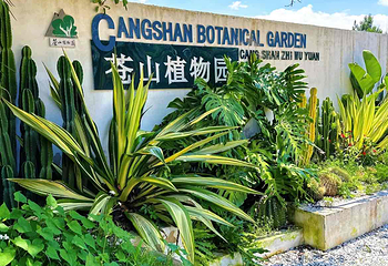大理苍山植物园第 27 张图片