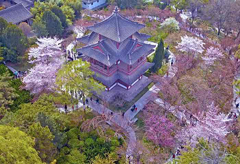 青龙寺第 13 张图片