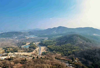 牛首山文化旅游区第 401 张图片