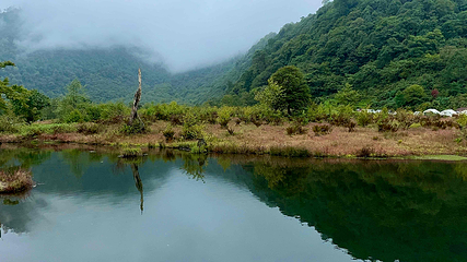 黑竹沟风景名胜区第 16 张图片