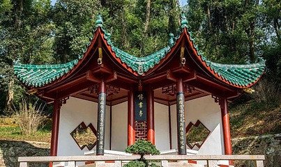 君山岛景区第 11 张图片