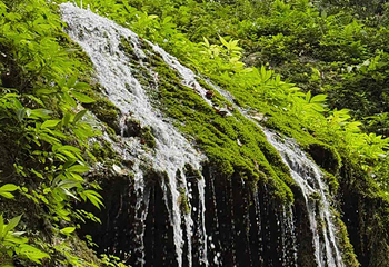 青城山第 192 张图片