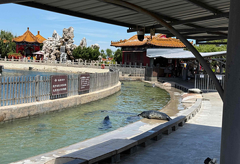 蓬莱八仙过海国际旅游度假区第 41 张图片