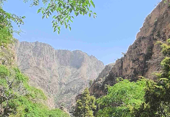 宁夏贺兰山国家森林公园第 37 张图片