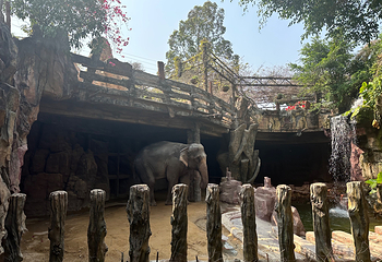 长鹿旅游休博园第 115 张图片