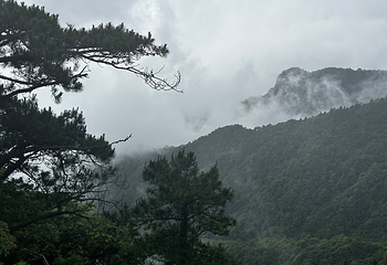 萍乡武功山风景区第 167 张图片