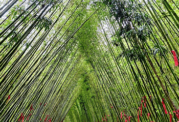 清远笔架山旅游度假区第 147 张图片