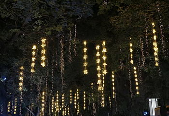 大唐不夜城第 243 张图片