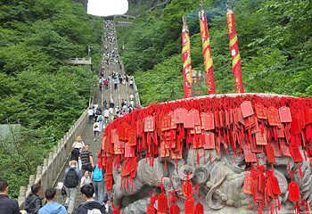 天门山国家森林公园第 326 张图片