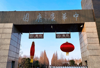 中华麋鹿园第 78 张图片