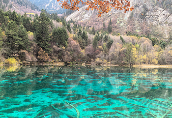 九寨沟风景区第 200 张图片