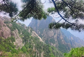 黄山风景区第 286 张图片
