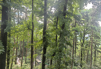 南岳衡山风景名胜区第 120 张图片