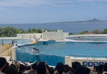 冲绳美丽海水族馆第 98 张图片