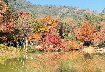 天平山第 82 张图片