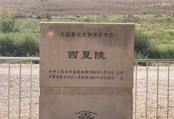 西夏陵第 395 张图片