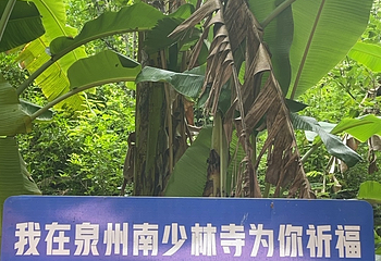 南少林寺第 74 张图片