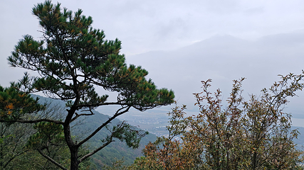 虞山景区第 41 张图片