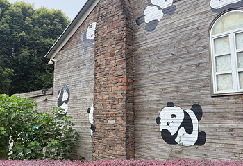 成都大熊猫繁育研究基地第 383 张图片