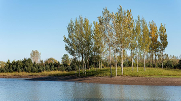 西洞庭湖湿地生态旅游风景区
