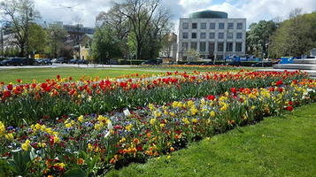 慕尼黑美国之家