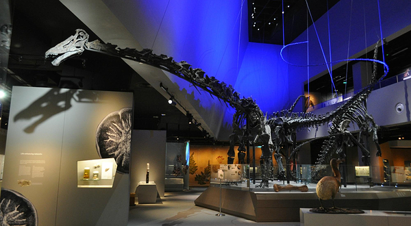 李光前自然历史博物馆