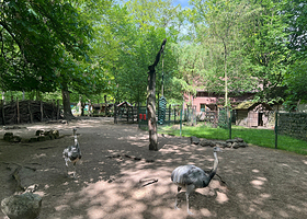 Zoo Eberswalde