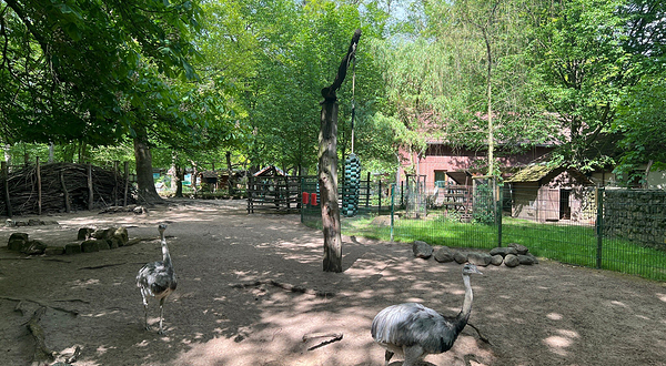 Zoo Eberswalde