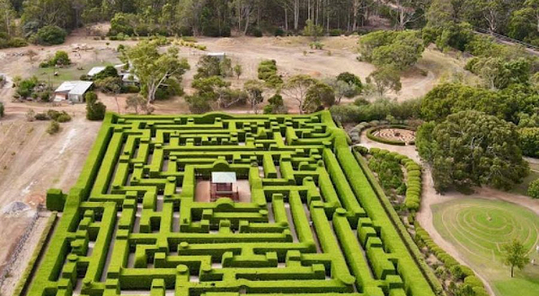 Giant Hedge Maze