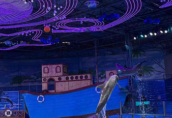 海趣花都海洋世界第 49 张图片
