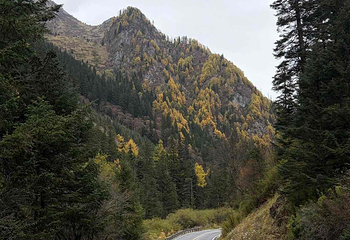 九寨沟风景区第 597 张图片
