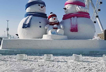 哈尔滨冰雪大世界第 490 张图片