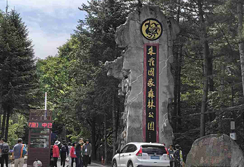 朱雀国家森林公园第 41 张图片