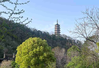 焦山第 37 张图片