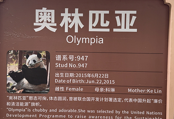 成都大熊猫繁育研究基地第 571 张图片