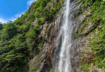 宜春明月山旅游区第 82 张图片