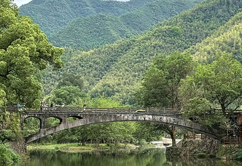 芦茨村第 5 张图片