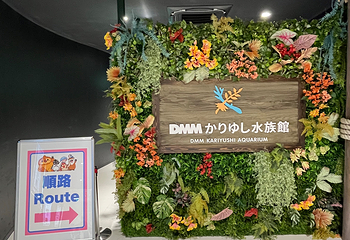 琉球村第 26 张图片