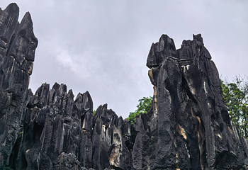 石林风景区第 274 张图片