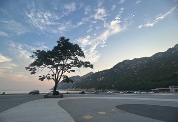 崂山风景区第 195 张图片
