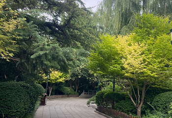趵突泉景区第 249 张图片